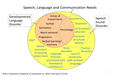 speech deficiency meaning